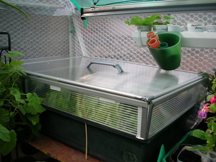 Propagator 2