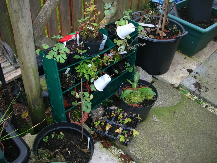 garden-vertical-planter-nov