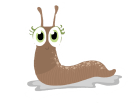 slug
