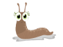 slug