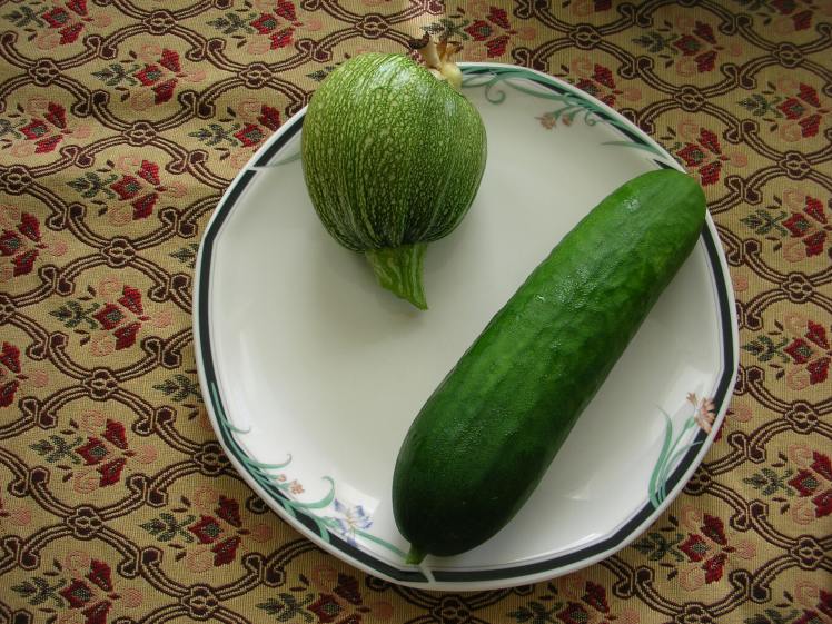 Courgette &amp; cucumber