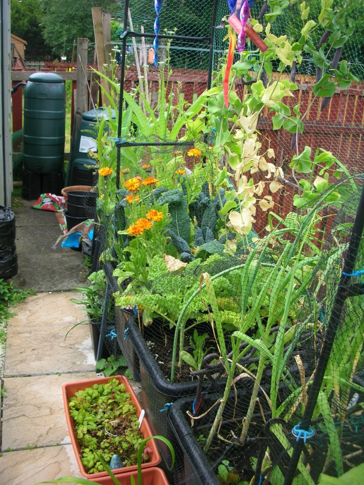 Containers 1 July 2018