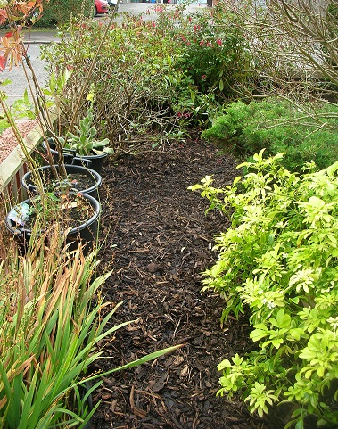 Front garden bark